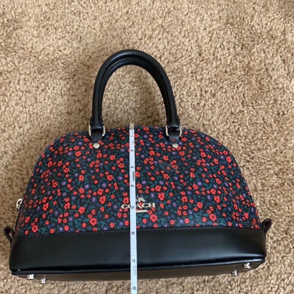 Coach - Picture 6 of 10